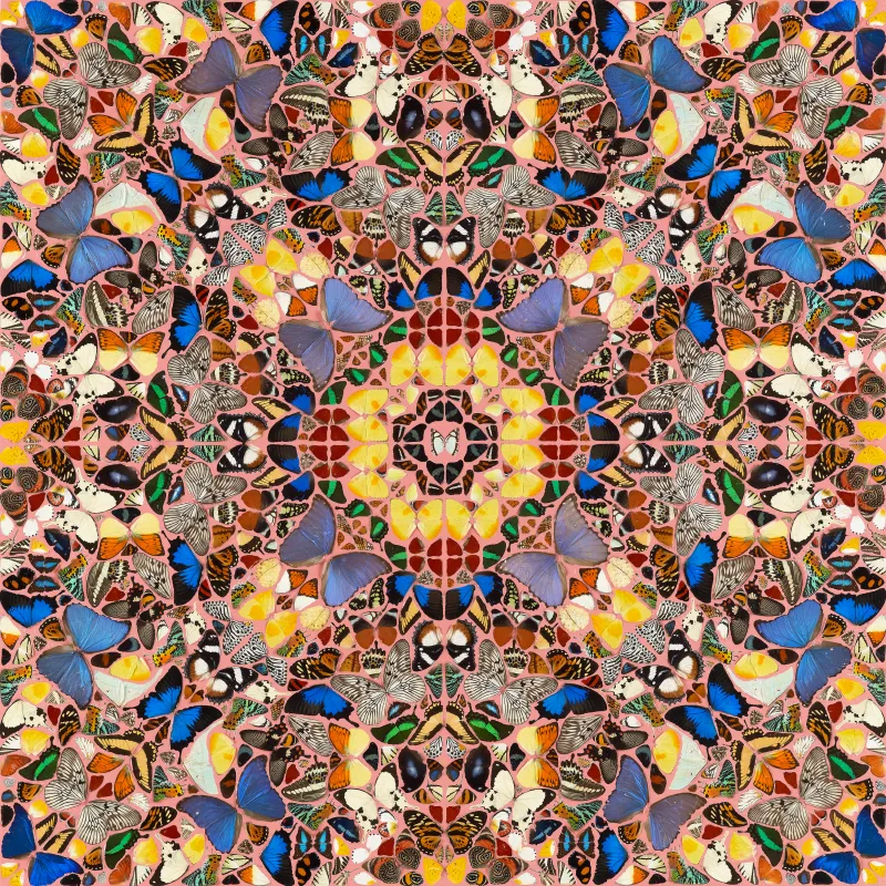 For Heaven's Sake - Sedition