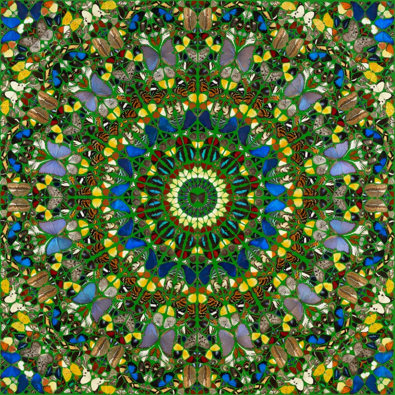 アート・デザイン・音楽 For Heaven's Sake by Damien Hirst Amazon | Damien Hirst: For Heaven's Sake | Hirst, Damien