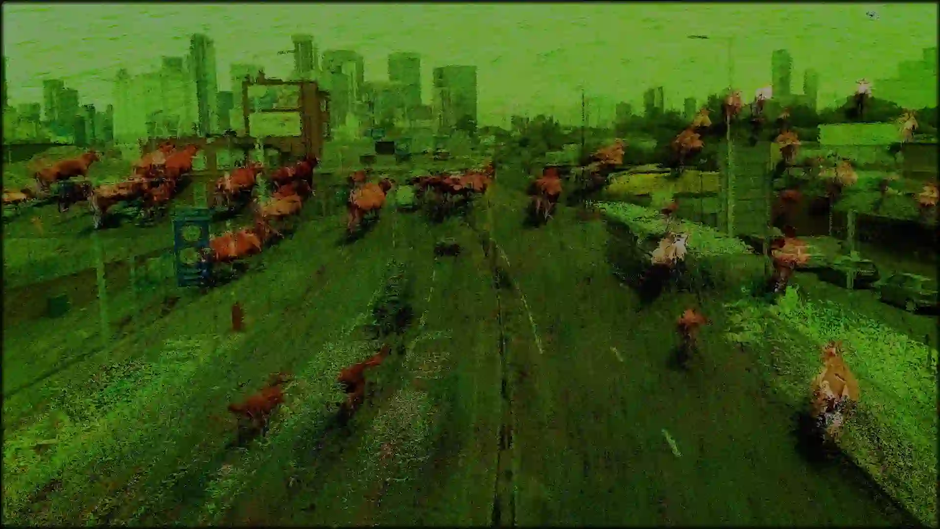 Decomposition III - Human/Animal